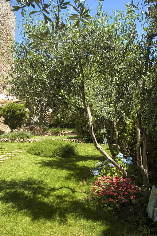 Locanda Delle Mura Anna De Croy Magliano in Toscana Kültér fotó