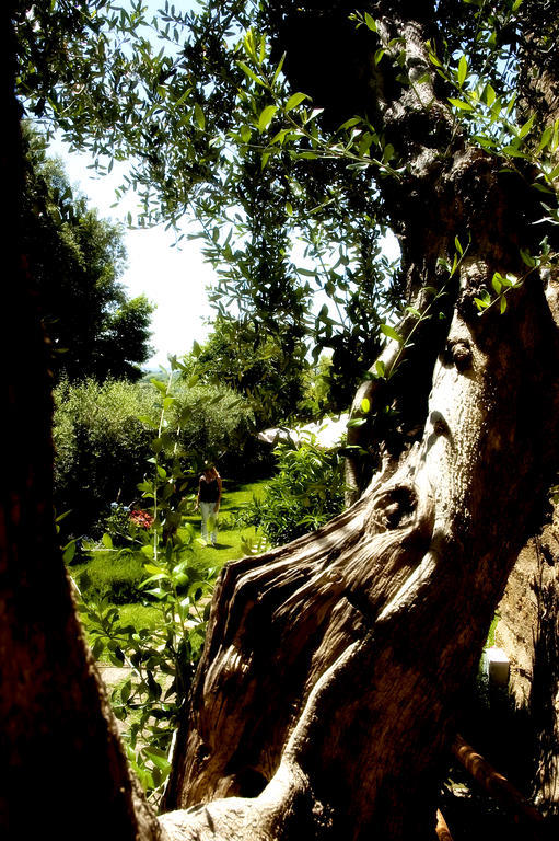 Locanda Delle Mura Anna De Croy Magliano in Toscana Kültér fotó